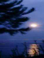 LA LUNA NOS BUSCÓ DESDE LA ALMENA....